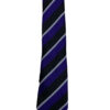 Queensmead School - QUEENSMEAD TIES, Queensmead School
