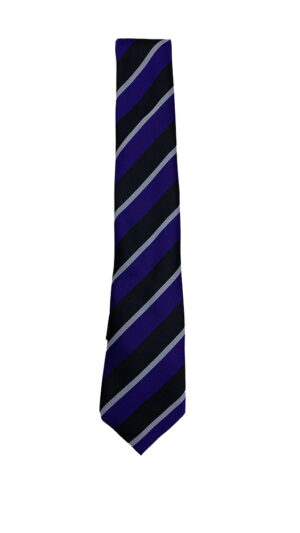 Queensmead School - QUEENSMEAD TIES, Queensmead School