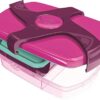 HELIX PICNIK LUNCH BOX, Lunch Box