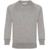 SWEATSHIRTS GREY, Sportswear