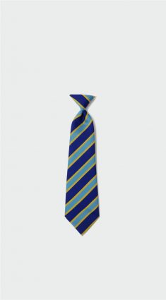 Roxbourne Primary School - ROXBOURNE SCHOOL TIES, Roxbourne Nursery and Primary