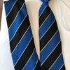 St. Swithums Wells Catholic School - SSW TIES, St Swithun Wells RC
