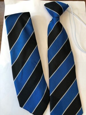 St. Swithums Wells Catholic School - SSW TIES, St Swithun Wells RC